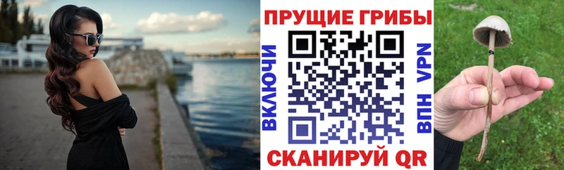 купить   Новая Ляля  KRAKEN ссылка  Псилоцибиновые грибы Psilocybine cubensis 
